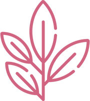 pink icon of branch with leaves